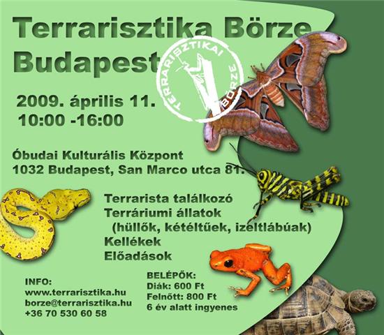 borze